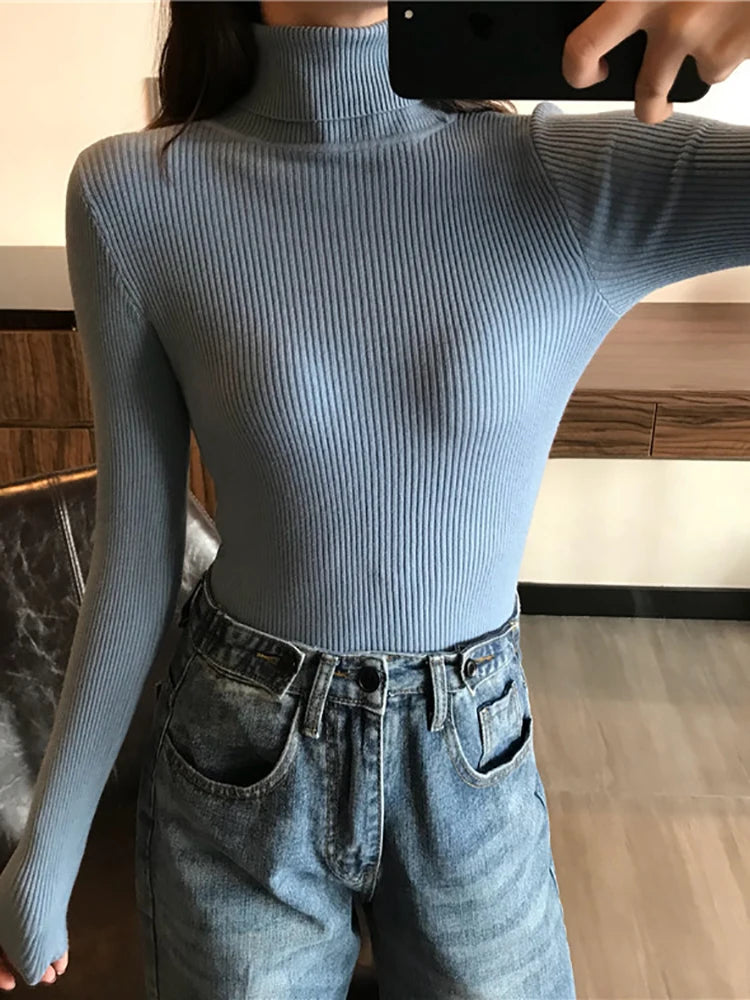 Turtleneck slim jumper