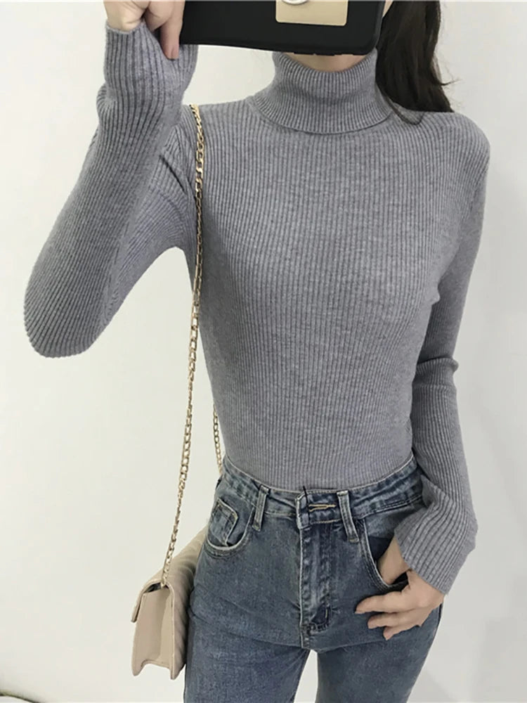 Turtleneck slim jumper