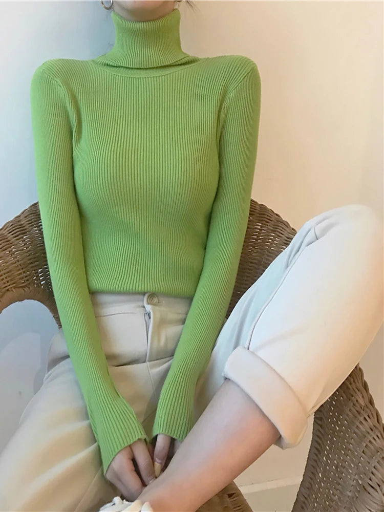 Turtleneck slim jumper